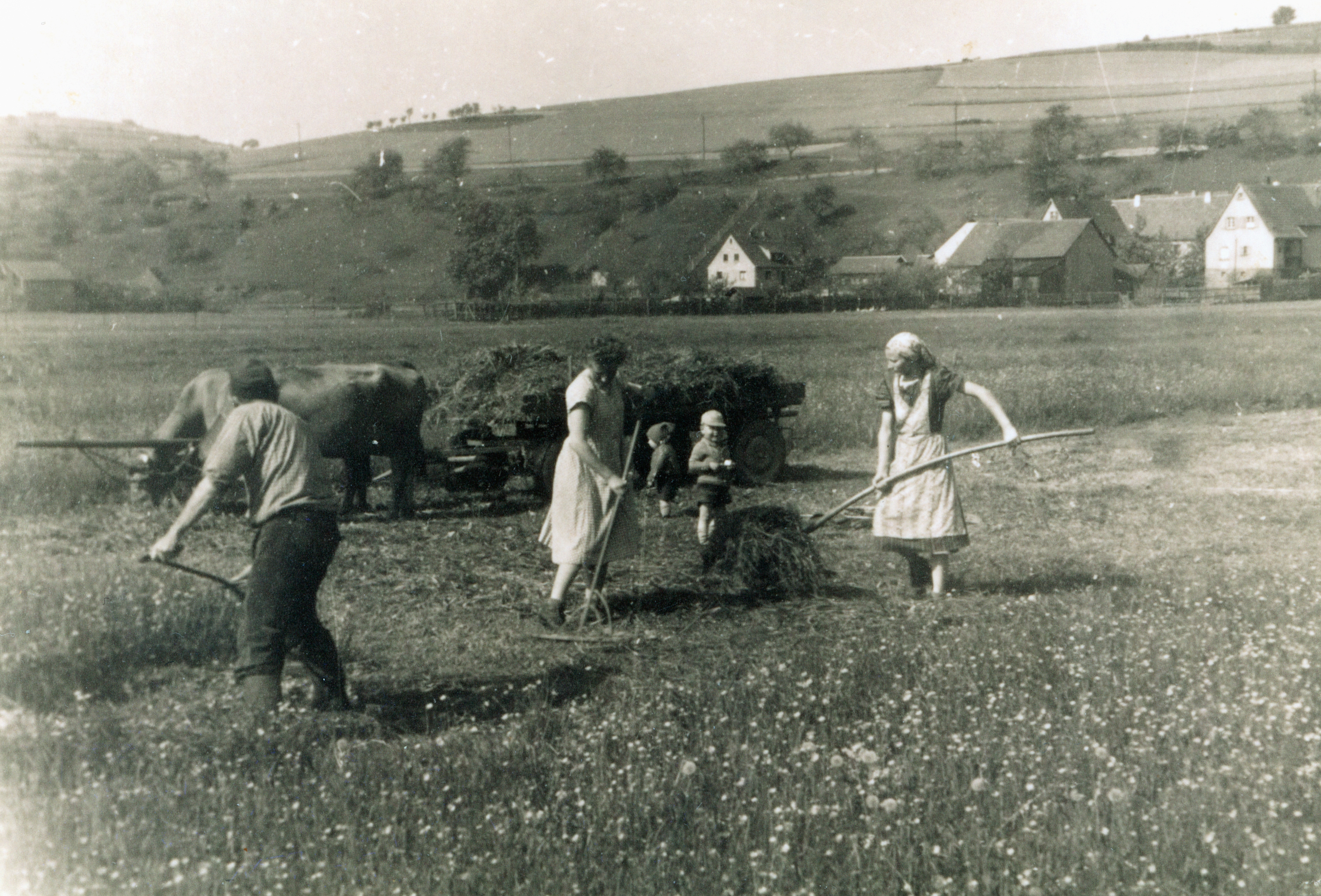 Familie Ommert 1958 (Schmitts)